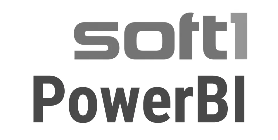 Soft1 BI logo